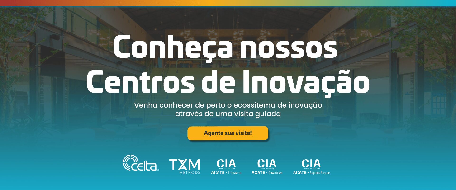 carrossel_banner2-site_rede (1)